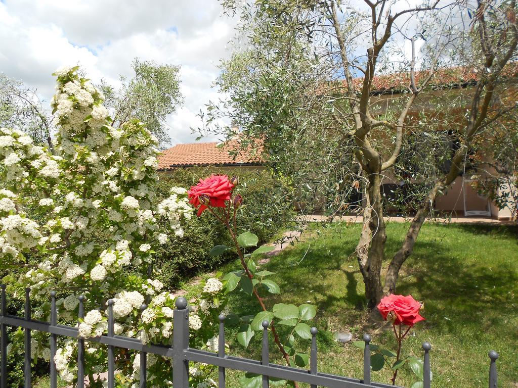 Poggio Degli Olivi Casa de hóspedes Saturnia Exterior foto