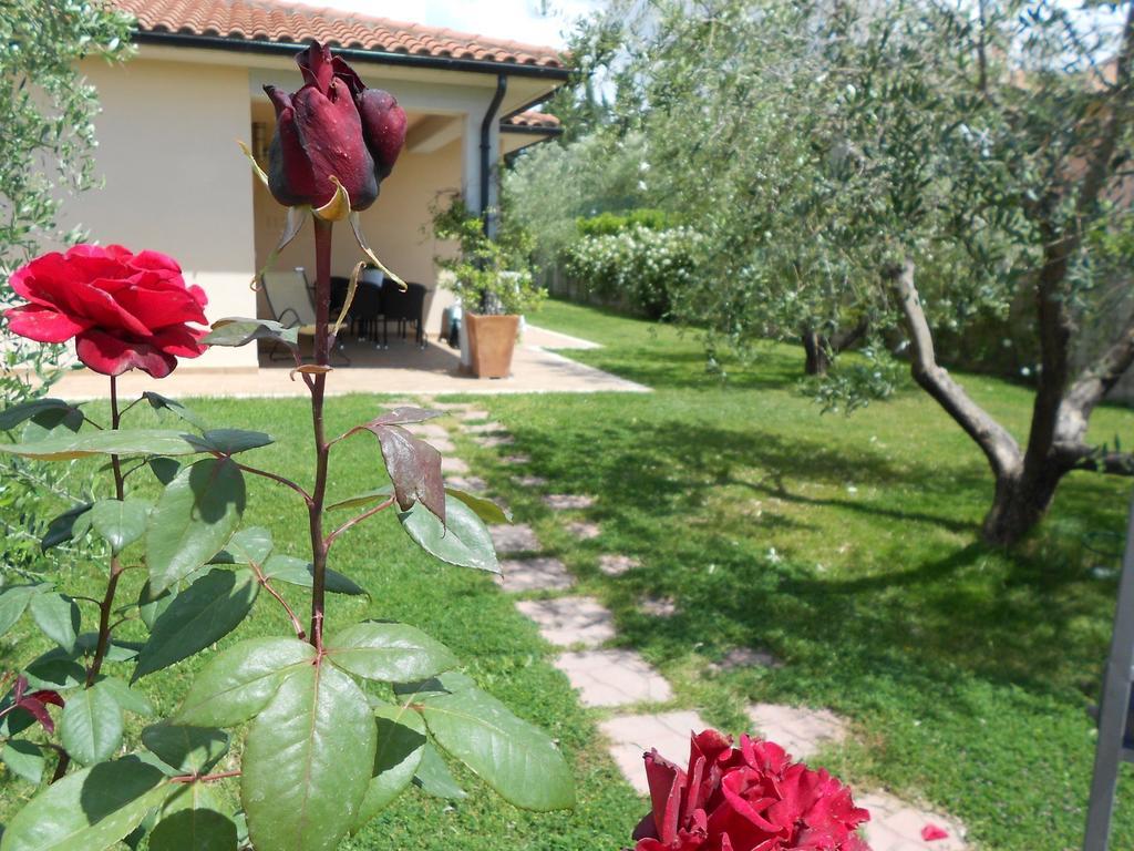 Poggio Degli Olivi Casa de hóspedes Saturnia Exterior foto