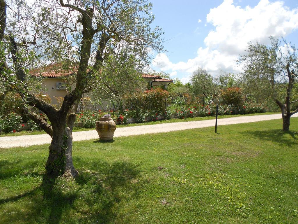 Poggio Degli Olivi Casa de hóspedes Saturnia Exterior foto