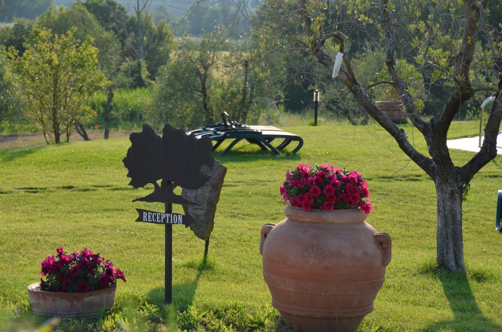Poggio Degli Olivi Casa de hóspedes Saturnia Exterior foto